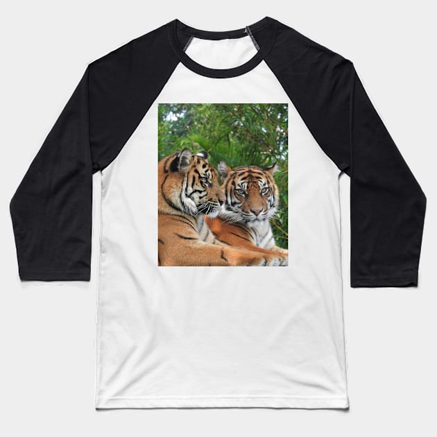 Sumatran Tigers Baseball T-Shirt by kirstybush